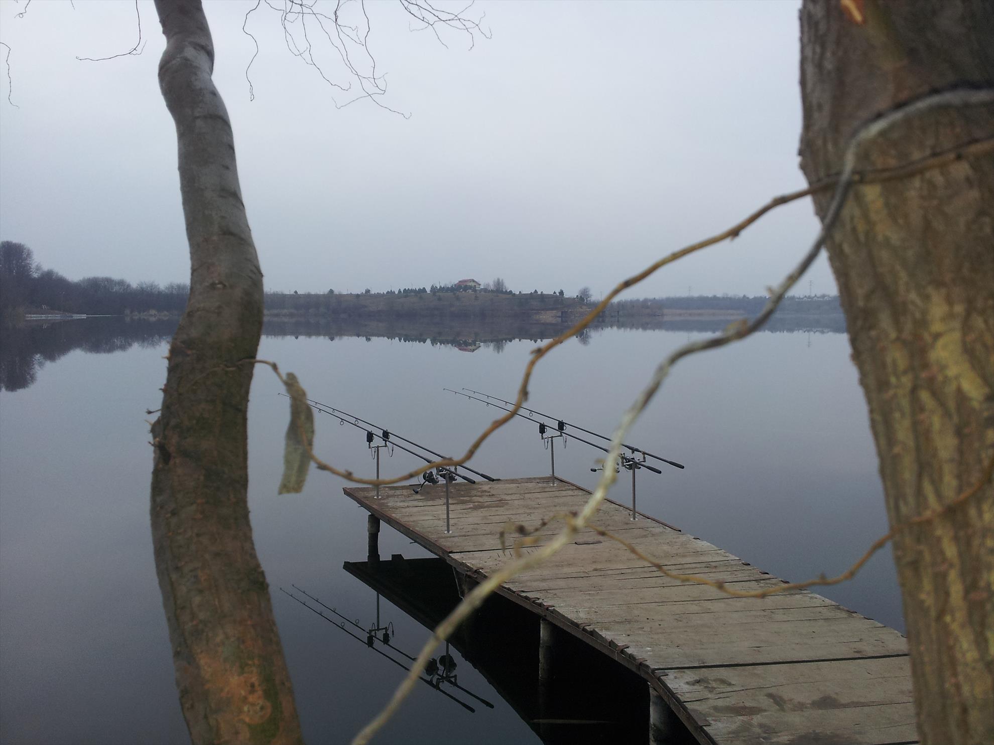 Tancabesti 1 - 2 mar. - 20140301172041.jpg